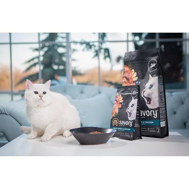 Foto 5 de 6 de SAVORY Gatos Adultos Gourmand Fresco - Alimento holístico para Gatos Alimento seco