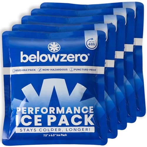 Below Zero Prefilled Reusable Ice Packs