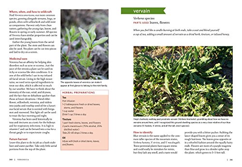 Mountain States Medicinal Plants: Identify, Harvest, And Use 100 Wild Herbs For Health And Wellness (Medicinal Plants Series) #TOP6