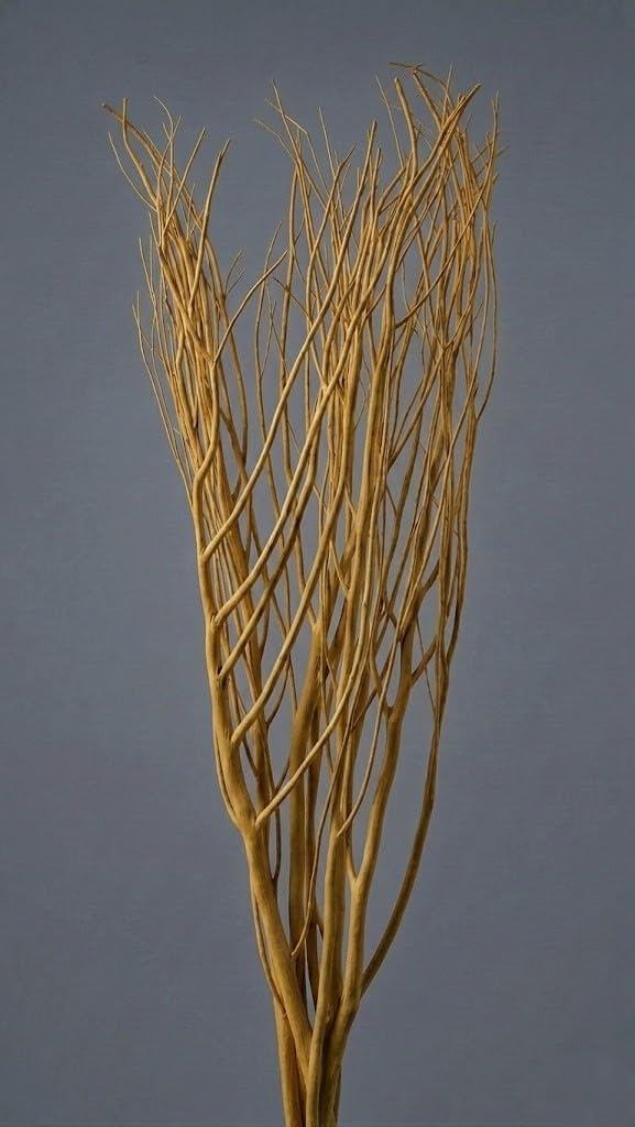 Dried Yellow Curly Willow Stems for Vase, Natural Wood Diffuser Sticks, Home and Office Decor, 5 Pieces-image-39