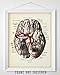 Brain with Blood Vessels and Nerves Anatomy Art Print – Medical Illustration, Brain Poster, Neuroanatomy Vintage Artwork, Educational Brain Diagram for Office, Clinic & Classroom Décor