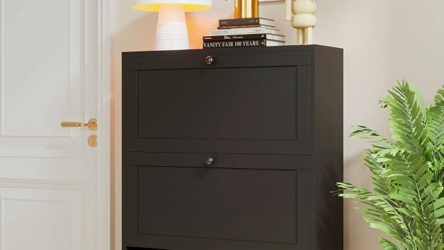 SoBuy Scarpiera Salvaspazio Slim Mobiletto da Ingresso con 2 Ante a Ribalta, Armadio Portascarpe Scarpiera Legno Moderna per Ingresso, Corridoio o Camera da Letto 54x24x83cm Bianco FSR78-W