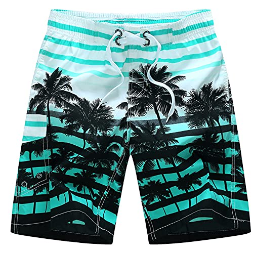 Men's Elastic Waist Beachwear Board Shorts Drawstring Printed Swim Short Quick Dry with Mesh Lining Swimsuit Trunks (Blue,Large)