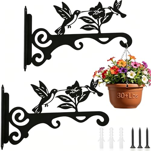 mekpiwu Elegant Bird Pattern Wall Hooks - 10/12/14 Inch Metal Plant Hangers for Indoor & Outdoor - Rust-Resistant Bracket for Plants Feeders Chimes Lanterns (2 Black 10 inch)