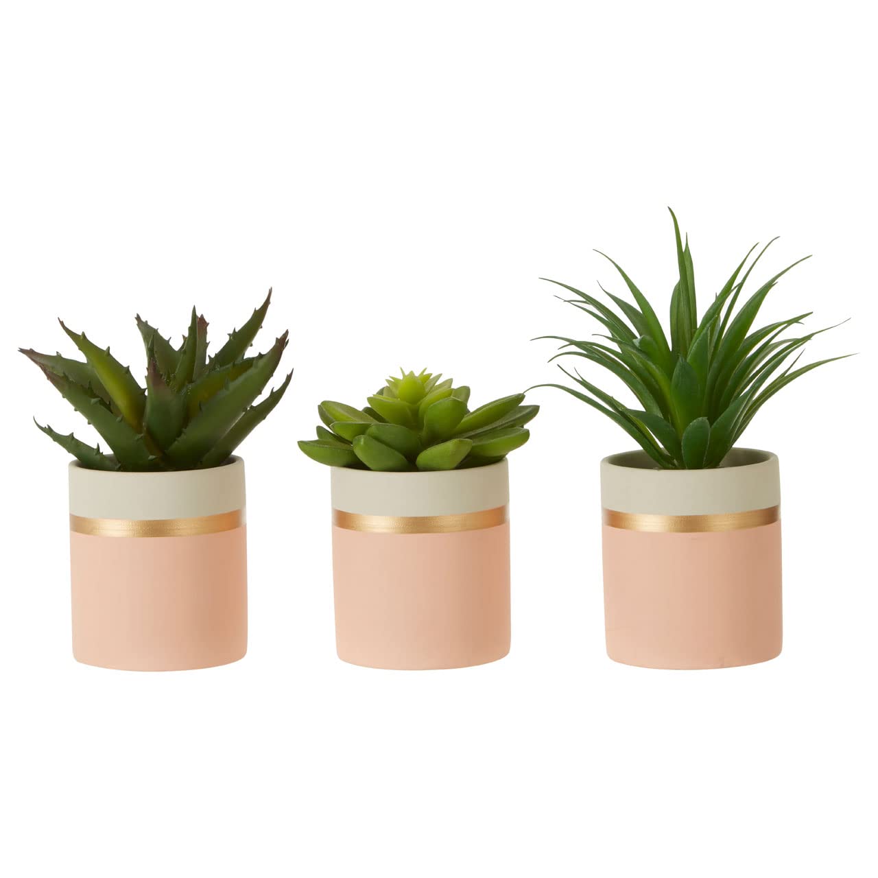 Fiori Set Of 3 Pink Pot Succulents - Pink