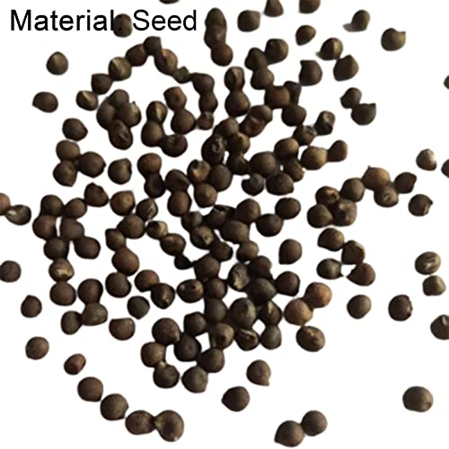 Voldrew Hibiscus zaden, 50 stks/zak hibiscus zaden tropische bloem home decor vaste plant ingemaakte bonsai plant zaden… - Image 8