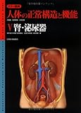 人体の正常構造と機能 腎・泌尿器 (V) (カラー図)