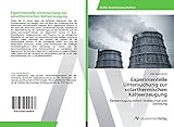  Experimentelle Untersuchung zur solarthermischen Kälteerzeugung: Kälteerzeugung mittels Strahlpumpe und Salzlösung