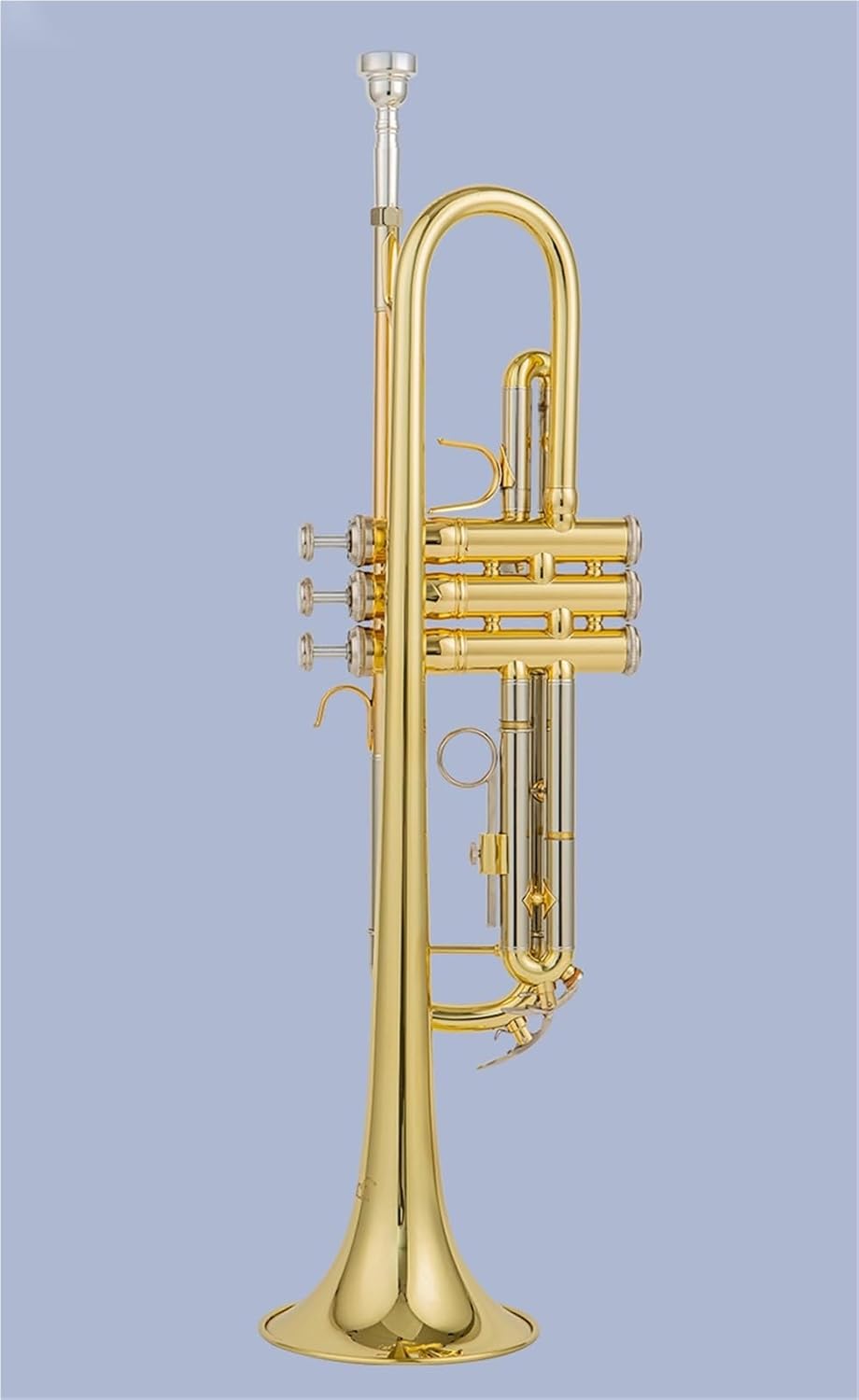 サンゾー工務店 ロダン カスタムベロ バニーガールズ カエル ヤモリ6個