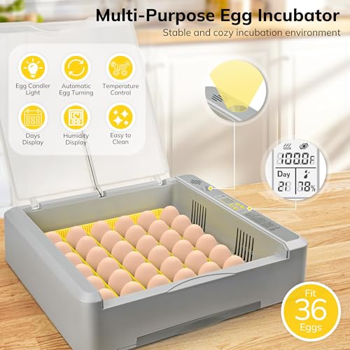 36-60 Egg Incubator with Automatic Egg Turning and Humidity Control, 360° View Chicken Egg Incubator with Digital Display, Adjustable Egg Incubators for Hatching Eggs Include Chicken Duck Quail Eggs