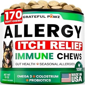 Dog Allergy Relief Chews – Dog Itching Skin Relief Treatment – 170 Chews – Anti-Itch, Hot Spots, Paw Licking – Immune Health – Omega 3 Fish Oil – Dry Itchy Skin and Coat Supplement – Made in USA