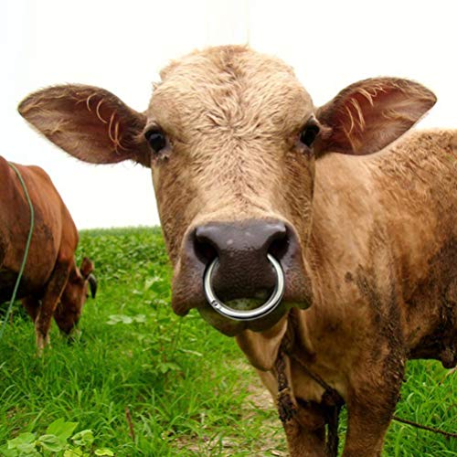 VILLCASE Touro Vaca Gado Anel de Nariz de Aço Inoxidável Ferramenta Veterinária Animal de Fazenda pa