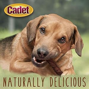 Cadet Gourmet Triple Chews Pork Hide, Apple, & Duck Dog Treats - Healthy Dog Treats for Small & Large Dogs - Inspected & Tested in USA (6 Count) Cadet Gourmet Triple Chews Pork Hide, Apple, & Duck Dog Treats – Healthy Dog Treats for Small & Large Dogs – Inspected & Tested in USA (6 Count)
