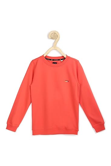 Allen Solly Junior Boys Sweatshirt