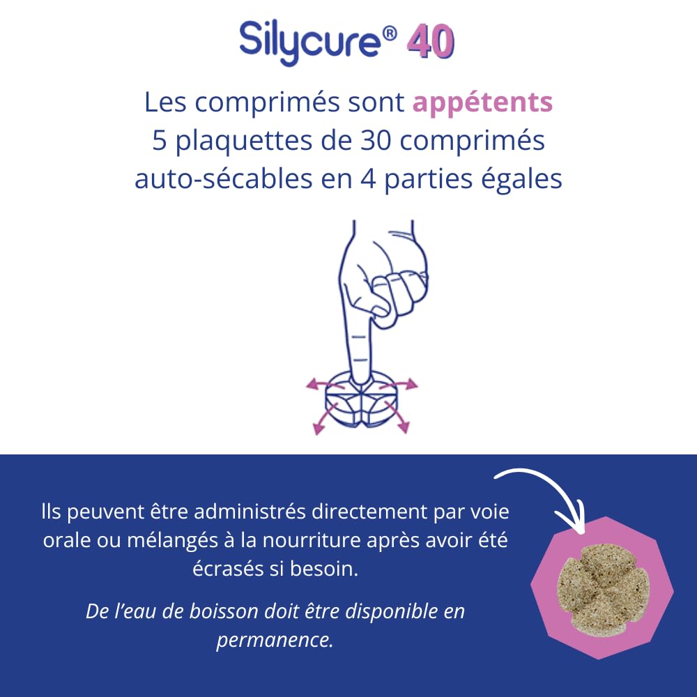 SYLICURE 40 mg - ANIDEV 150 comprimés