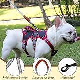 Mehrzweck-Hundegeschirr mit Leine Set, Ausbruchsicheres Anti Zug Hundegeschirr, Anti Zug Geschirr Hund Sicherheitsgeschirr, Hundegeschirre Kleine Hunde für Kleine Mittelgroße Hunde(Beige, M)