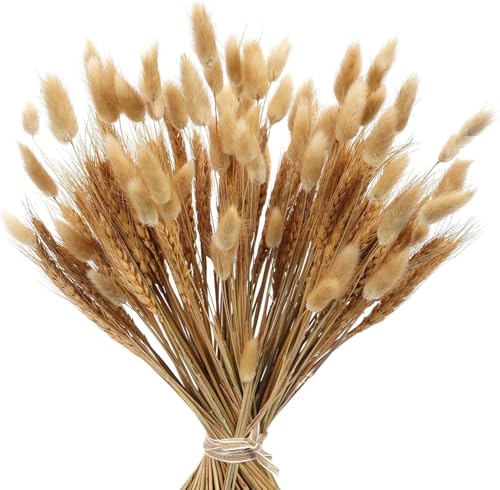 Minnhua 160piezas Pampas Secas Decoracion Ramo De Flores Secas Naturales Ramos De Flores Secas Naturales Decoración Para Hogar, Hierba De Pampa Esponjosas Para Boho Fiestas Bodas Hogar Jarrones 40cm Minnhua 160piezas Pampas Secas Decoracion Ramo De Flores Secas Naturales Ramos De Flores Secas Naturales Decoración Para Hogar, Hierba De Pampa Esponjosas Para Boho Fiestas Bodas Hogar Jarrones 40cm