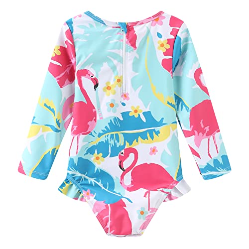 Image of Baby Girls One Piece Swimsuits Long Sleeve Rash Guard for Kids Girls UPF 50+ Sun Protection Swimshirts