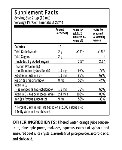 Flora - Iron With B-Vitamin Complex, Helps Maintain Healthy Iron Levels, Non-Constipating, Highly Absorbable Vitamin-B & Iron Supplement, Vegan, Yeast And Gluten Free, 15-Oz. Glass Bottle #TOP1