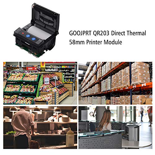 Entweg Módulo de Impressora QR203 58mm Baixo Ruído de Impressão Direta Térmica Mini Painel de Impres