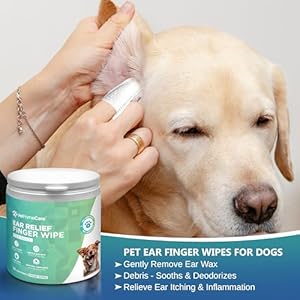 Pet Finger Wipes for Dogs Ear Relief Aloe Vera  Eucalyptus Infusion Pet Grooming Wipes Remove Debris  Ear Wax Soothe  Deodorize 55count Pack  Cucciolini Doodles Pet finger wipes for dogs ear relief aloe vera  eucalyptus infusion pet grooming wipes remove debris  ear wax soothe  deodorize 55 count pack   cucciolini doodles