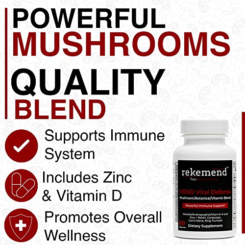 rekemend Mushroom Supplement for Immune Support - Contains Lions Mane, Cordyceps & Reishi Mushroom Extracts - 60 Capsules - Image 3