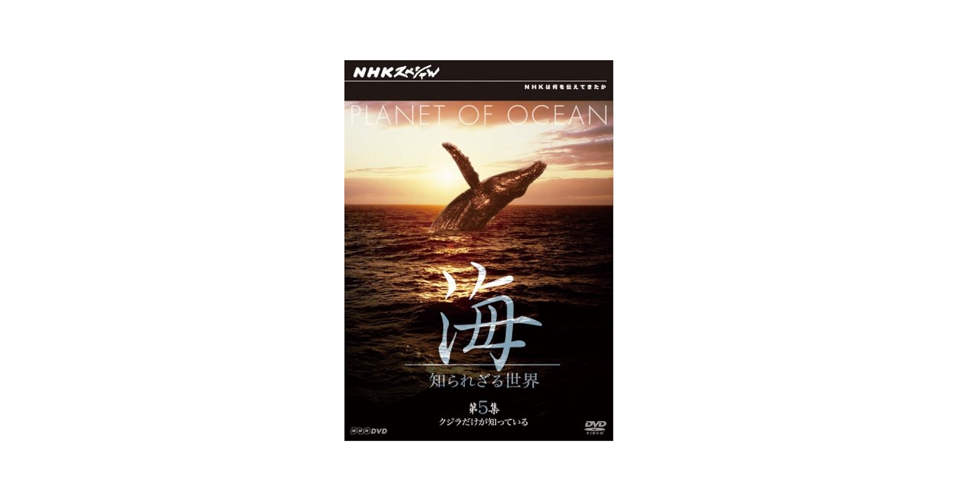 ＮＨＫスペシャル 海　知られざる世界 DVD-BOX (新価格) Amazon.co.jp: NHKスペシャル 海 知られざる世界 DVD BOX : 柿沼
