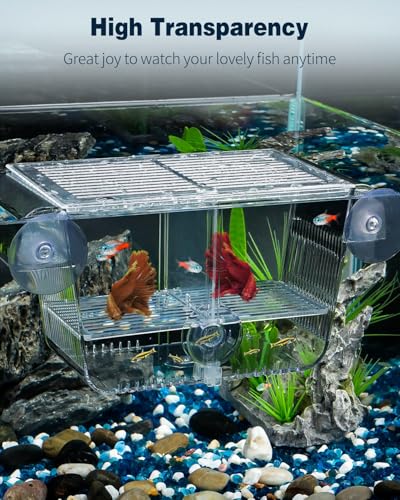 Pawfly Caja de cría de peces de acuario con 6 ventosas de acrílico para peces bebés, camarones, betta, guuppy, platy - imagen 7