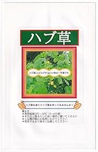福井シード ハブ草のタネ
