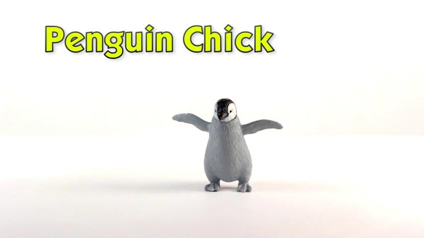 Amazon.com: Safari Ltd. Penguins TOOB - Figurines of Gentoo