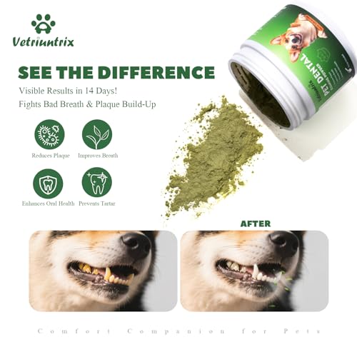 Image of Dog Dental Care Powder - Plaque & Tartar Control with Natural Enzymes, Teeth Cleaning Powder for Dogs with Probiotic, Bad Breath Treatment for Small Medium Large Dogs