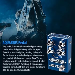 JOYO Aquarius R-07 R Series Pédale d’effet multimode 8 effets de retard numériques avec boucle (5 minutes de temps d’enregistrement) pour guitare électrique (R-07) - Les Beatles, Paul McCartney, John Lennon, RIngo Starr, George Harrison JOYO Aquarius R-07 R Series Pédale d'effet multimode 8 effets de retard numériques avec boucle (5 minutes de temps d'enregistrement) pour guitare électrique (R-07) – Image 2