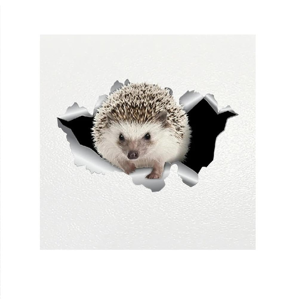 Car Sticker Hedgehog Pet Animal Waterproof Vinyl Decal Car Accessories Decor Pegatinas para Coche(30cm)
