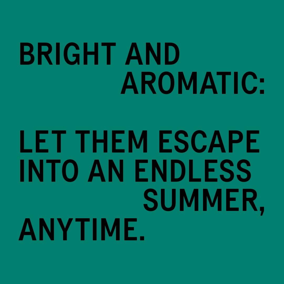 AKT The Ensemble Body Care 6-Piece Gift Set: Deodorant Balm 50ml, Body Wash Concentrate 100ml, Body Conditioning Balm 100ml, Tube Squeezer, Shower Sponge, 04 Halcyon Summers Scent, Travel Essentials