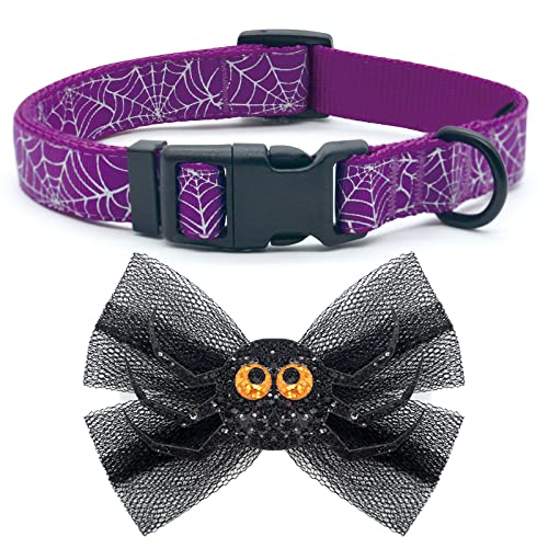 azuza Halloween Dog Collars with Bow Cute Sequined Spider Purple Dog Collar with Lace Bow tie Gifts on Halloween for Small Dogs