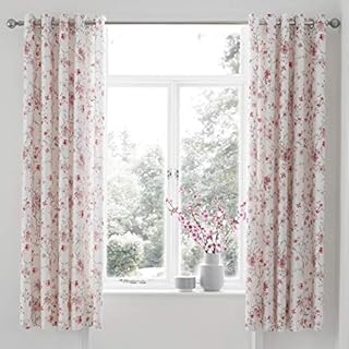 Catherine Lansfield Jasmine Floral Eyelet Curtains 66X72 Inch White