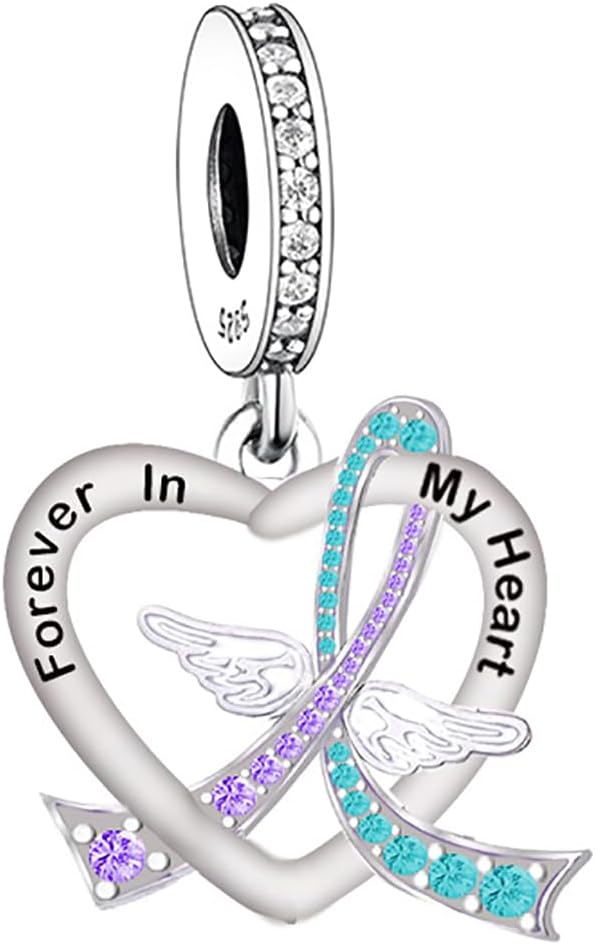 BSFJTY 925 Sterling Silver Charms, Pink Purple Blue Green Ribbon Cancer Loss Survivor Faith Mental Health Ribbon Memorial Bead Pendant Fit Pandora Moments Charm Bracelet
