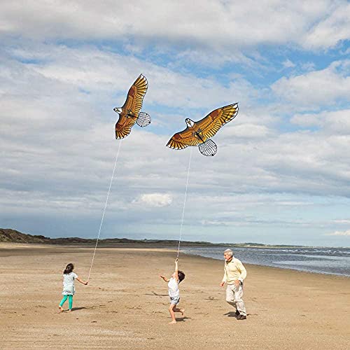 Mint's Colorful Life Eagle Kite And Butterfly Kite For Kids Adults #TOP4