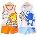 Pack of 2 Sets Hikfly Baby Boys' Girls' Cotton Sleeveless Vest Tops and Shorts Set (12-18 months, Boys, A)