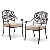 Patio Dining Chairs Set of 2, Elizabeth Outdoor Cast Aluminum Patio Chairs Weather Resistant with Th