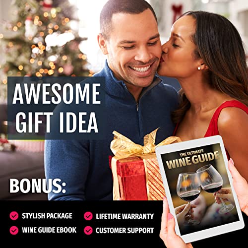 Vinvoli Wine Aerator - New 2023 Luxury Red Wine Aerator Decanter With Unique Three-Stage Aeration, Pourer, Wine Sediment Filter, No-Drip Stand - Quality And Convenience For Wine Lovers And Sommeliers #TOP5