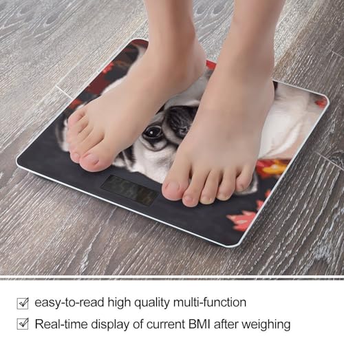 Báscula Digital de Baño Puppys Pug de Precisión miniatura 5