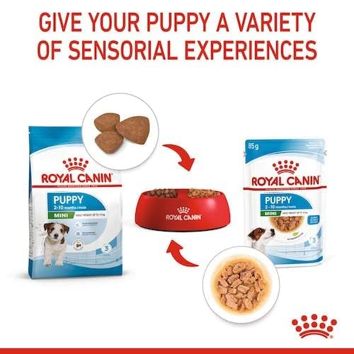 Image of Royal Canin Mini Puppy, Wet Gravy Food Pouch, Pack of 36 Pieces, Supports Teeth Texture, Immunity System & Brain Development