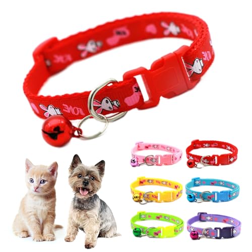 ԂXS̎ւƃxAETM̃p^[L̎փK[L[gt@V[q̎XXS XSȎqLybgA7-12C`