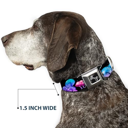 Collier pour chien large 3.8 cm Buckle-Down réglable 33 à 43 cm noir - 8
