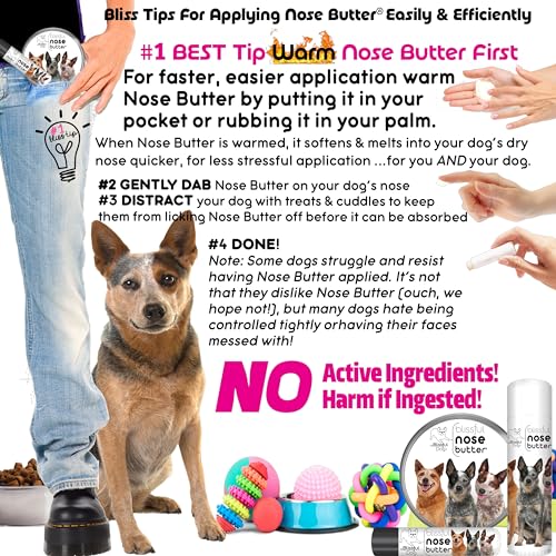 Image of The Blissful Dog Australian Cattle Nose Butter, Versatile Dog Nose Balm for Dry Nose, Handcrafted Nose Moisturizer, Easy-to-Apply Dog Essentials, Unscented, 1 oz.