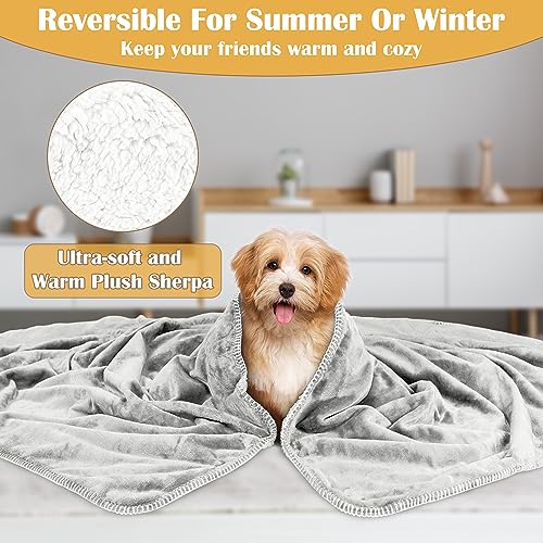 Pawsee Wasserdicht Hundedecke Katzendecke mit Pfotenabdruck, Waschbar Fleece Sherpa Hundehandtuch für Couch Bett Outdoor, wasserdichte Tagesdecke Bettschutz Sofa Überwurf Sofabezug, 75 x 50 cm, Grey