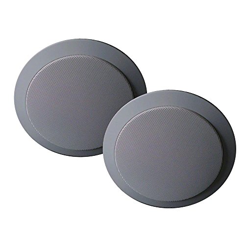 Mr. Steam Ms Speakers Two 5-1/2 Inch Diameter In-shower, Flush Mount Two-way Speakers