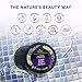 Nature's Beauty Lavender Chamomile Sleep Body Scrub Multi-Pack - Gently Exfoliate, Moisturize & Sooth Combination to Dry Skin, Made w/Coconut, Jojoba + Moringa Seed Oils, 11.3 oz (2 Pack)