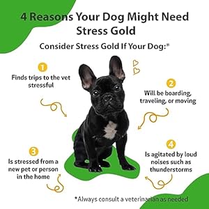   Pet-Wellbeing-Stress-Gold-for-Dogs-Vet-Formulated-Calming-and-Relaxing-Support-for-High-Stress-Situations-Natural-Herbal-Supplement-2-oz-59-ml